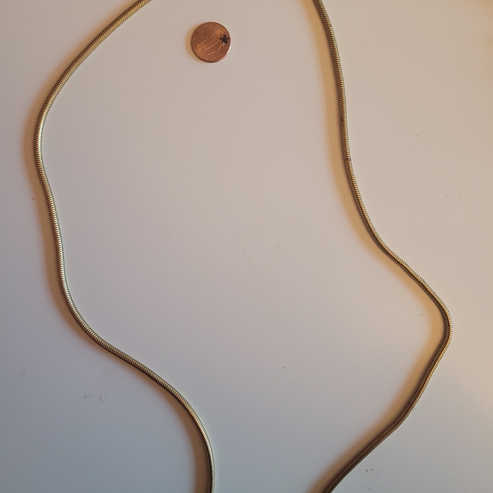 Gold Snake Chain Necklace